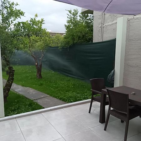 Olgas Cozy Home Χανιά Εξωτερικό φωτογραφία